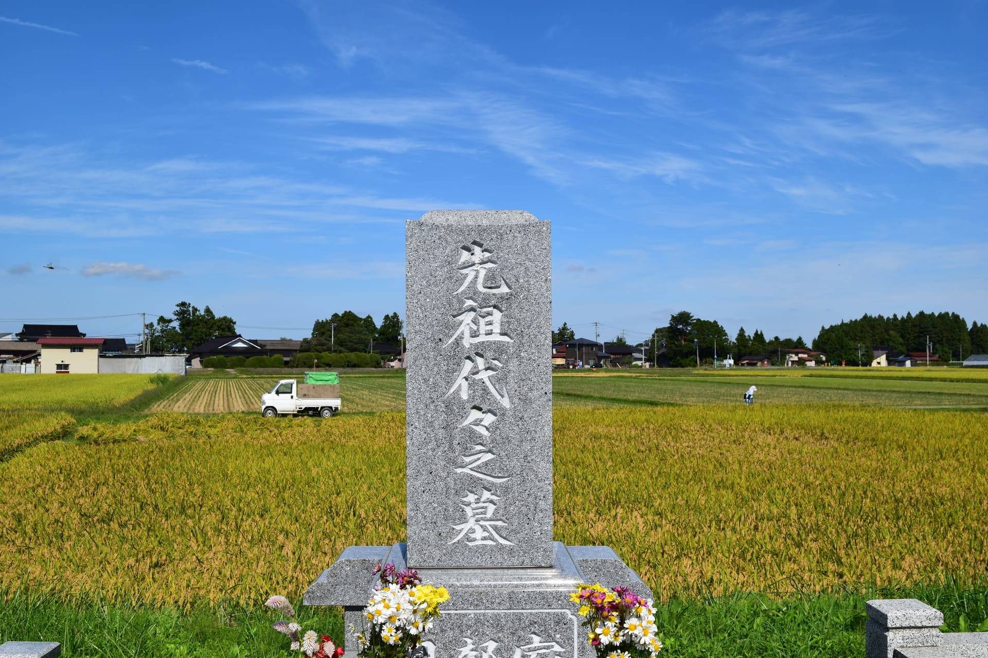 墓